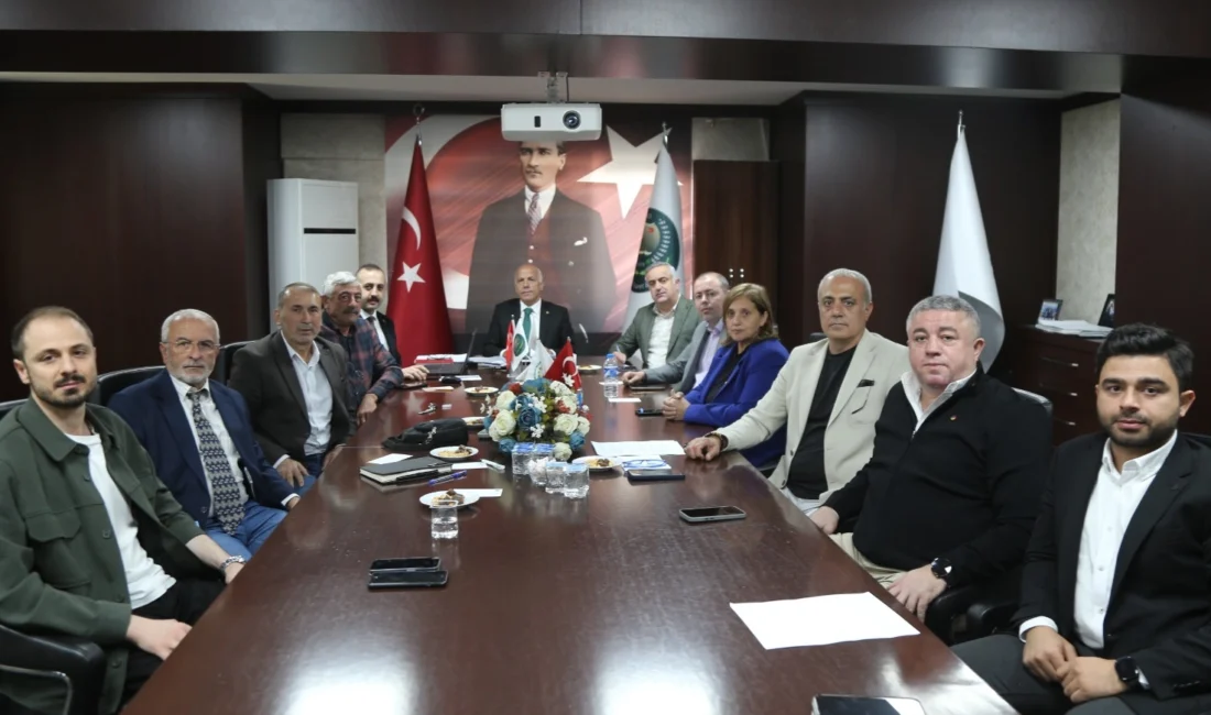  Artvin’de zeytin üreticileri yeni sezona umutla bakıyor. Artvin Ticaret
