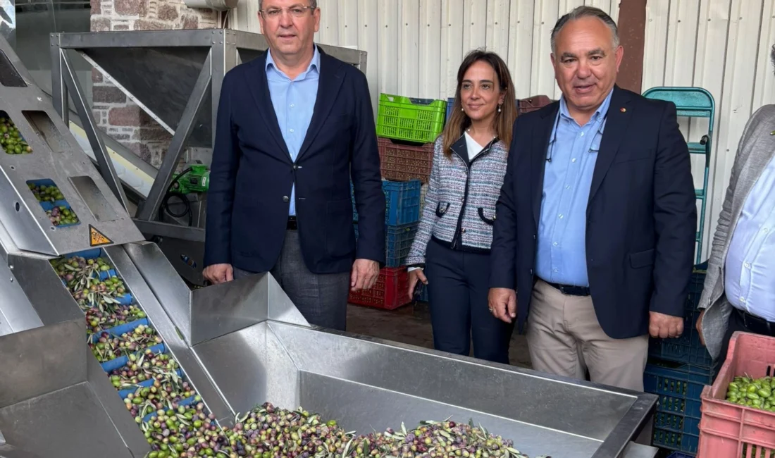  Ayvalık’ta “20. Ayvalık Uluslararası Zeytin, Hasat ve Turizm Festivali”