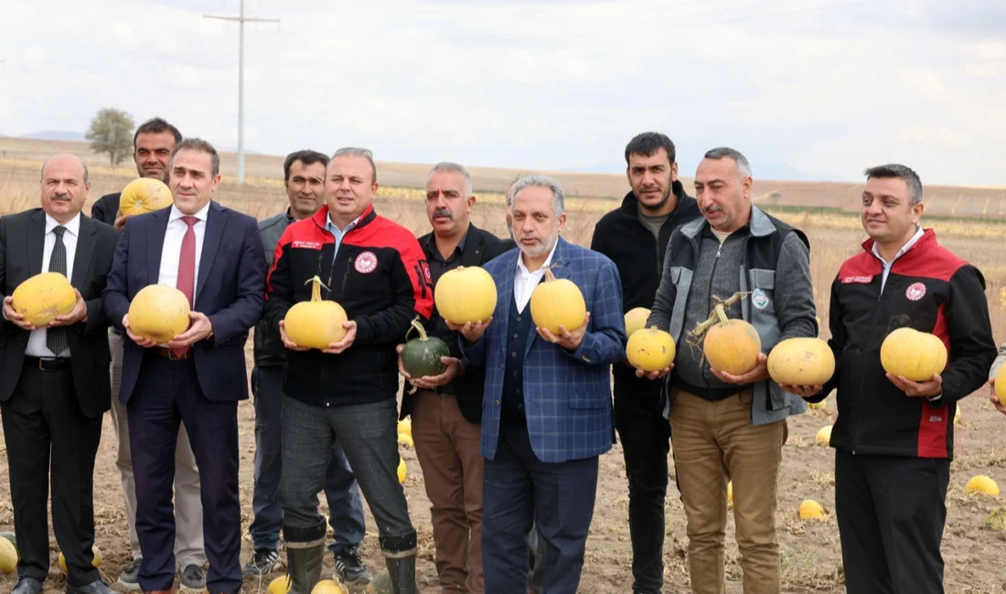  Kayseri Talas Belediye Başkanı Mustafa Yalçın, kabak çekirdeği üretiminde