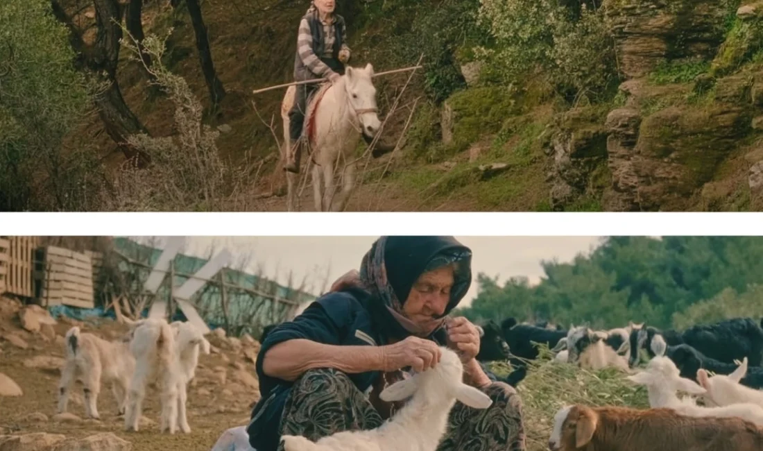  Boğaziçi Kültür Sanat Vakfı tarafından düzenlenen 13. Boğaziçi Film