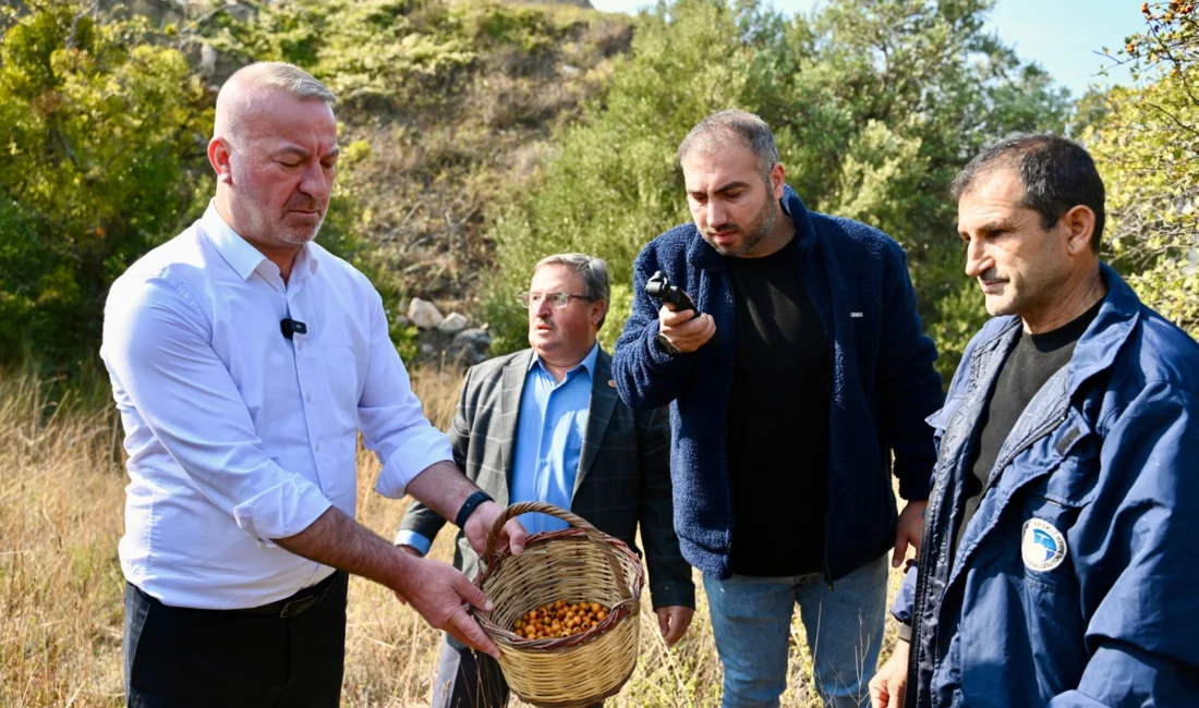  Bursa'da Karacabey Belediyesi, Yeşildere Mahallesi’nin doğal zenginliklerinden biri olan