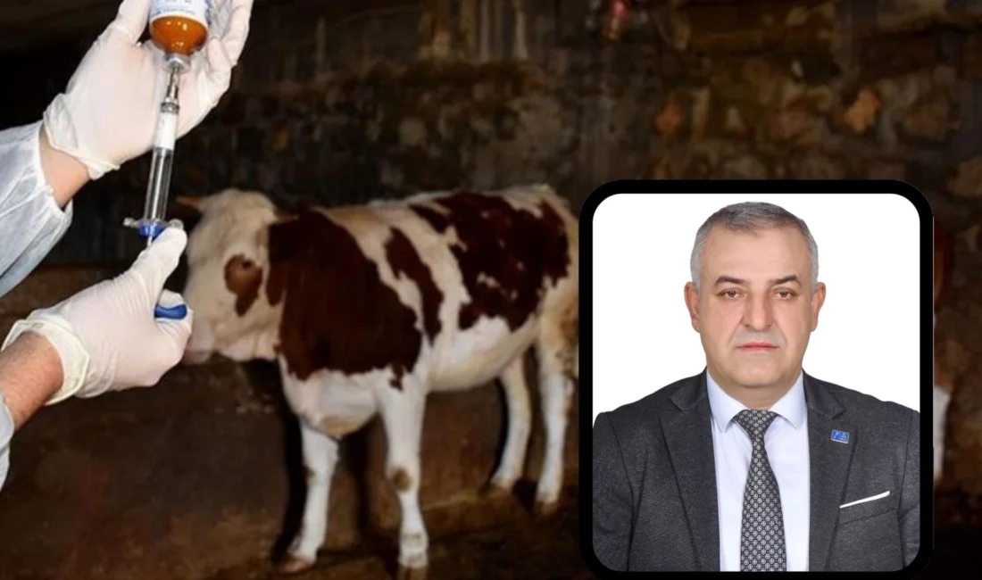 Bursa'nın Mustafakemalpaşa ilçesinde şap hastalığı hızla yayılıyor. Anahtar Parti