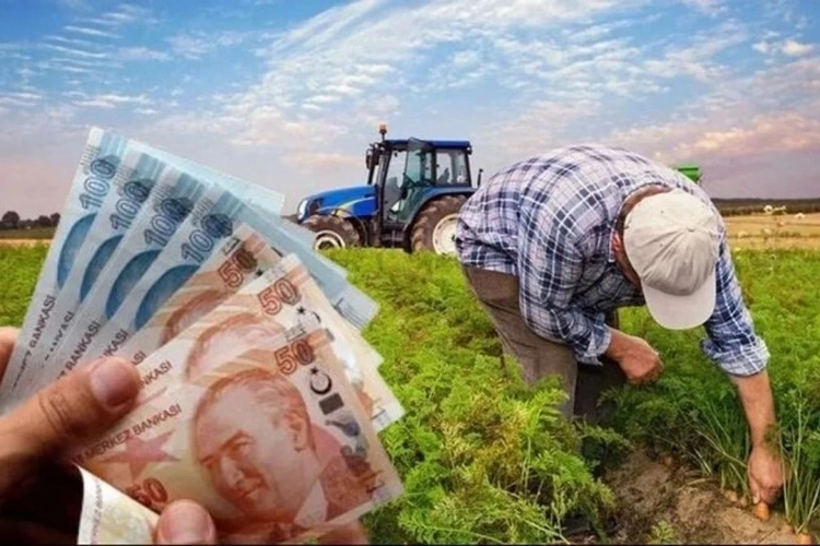  Tarım ve Orman Bakanı İbrahim Yumaklı, toplam 471 milyon