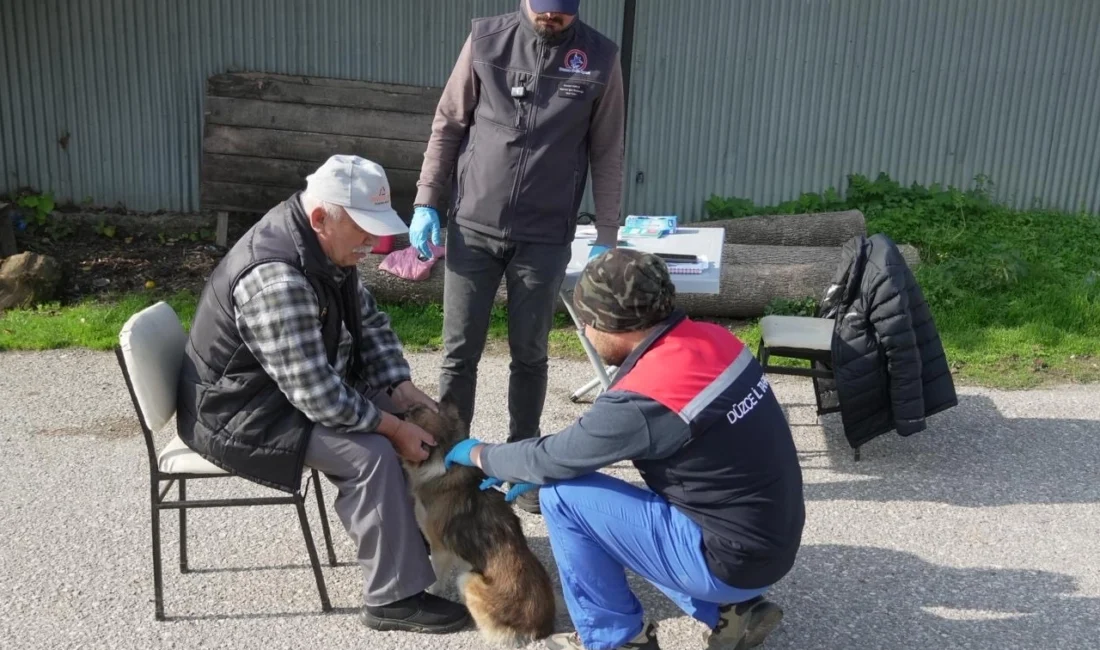  Düzce Belediyesi Veteriner İşleri Müdürlüğü, İl Tarım ve Orman