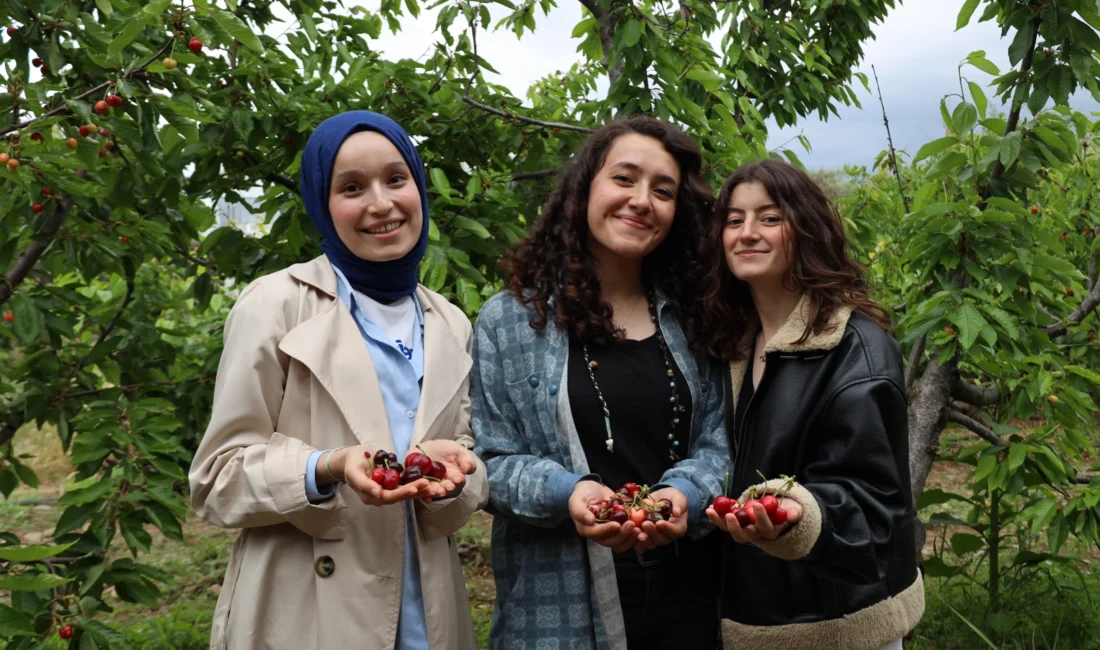  Ege Yaş Meyve Sebze İhracatçıları Birliği (EYMSİB); Ege Üniversitesi,