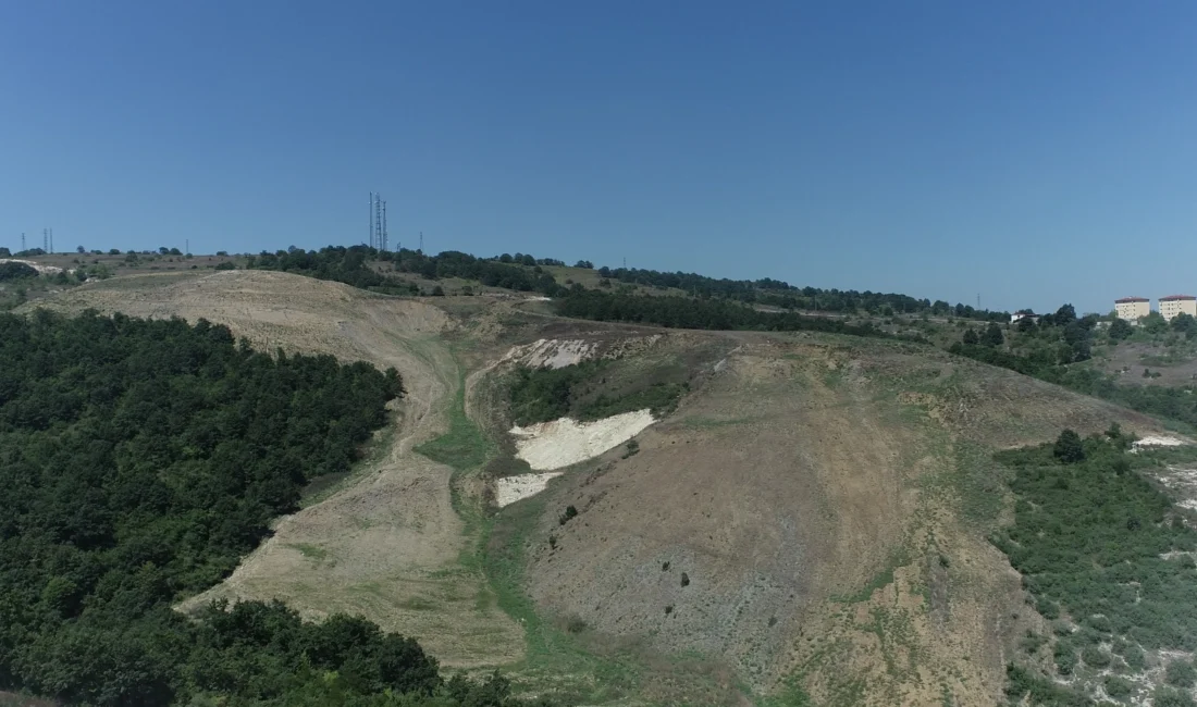 Kocaeli’de Kandıra Akçakese’ye 4 bin 500 ağaçlık doğal orman  Kocaeli Büyükşehir Belediyesi, “Daha yeşil Kocaeli” için durmaksızın çalışıyor.