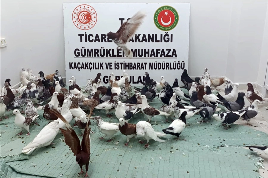  Ticaret Bakanlığı Gümrükler Muhafaza ekipleri, Ağrı’nın Doğubayazıt ilçesindeki Gürbulak