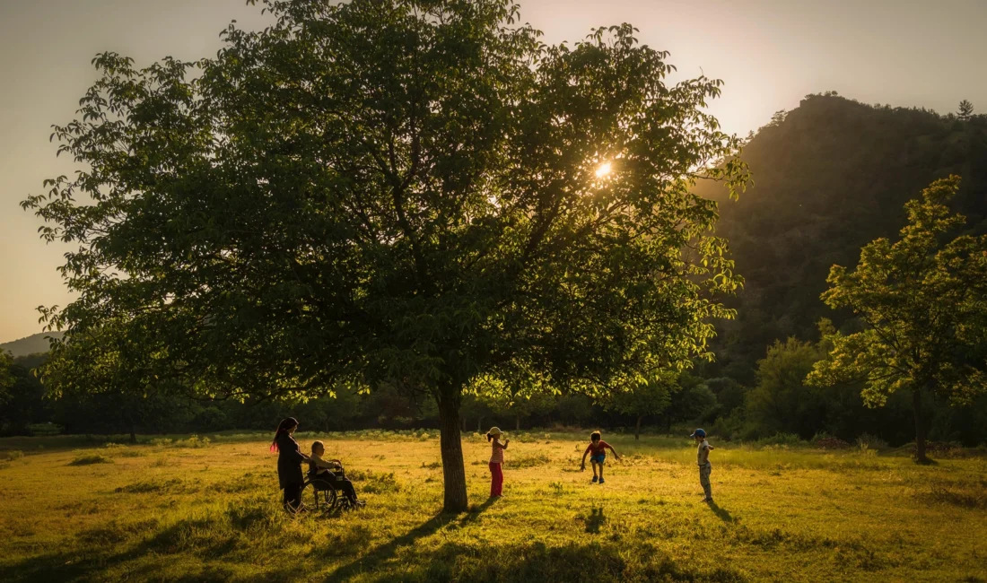  Aile ve Sosyal Hizmetler Bakanlığı tarafından Anadolu Ajansı işbirliğinde