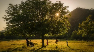  Aile ve Sosyal Hizmetler Bakanlığı tarafından Anadolu Ajansı işbirliğinde