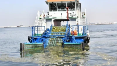  Gediz Nehri’nden gelen sanayi kaynaklı kirlilik, İzmir körfezini kirletmeye