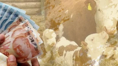  Tarım ve Orman Bakanı İbrahim Yumaklı, tarımsal üretimi desteklemek