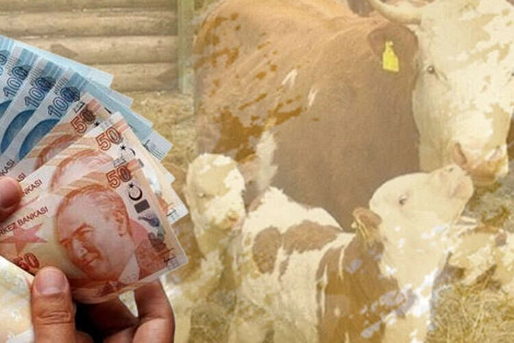  Tarım ve Orman Bakanı İbrahim Yumaklı, tarımsal üretimi desteklemek