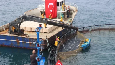  Tarım ve Orman Bakanlığı'na bağlı Balıkçılık ve Su Ürünleri